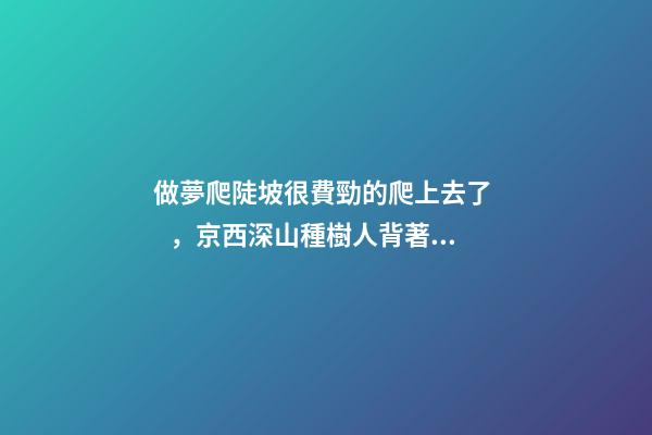 做夢爬陡坡很費勁的爬上去了，京西深山種樹人背著樹苗爬坡